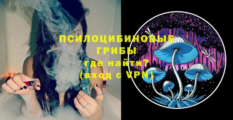 дарк нет как зайти  omg зеркало  Сарапул  Псилоцибиновые грибы Magic Shrooms 